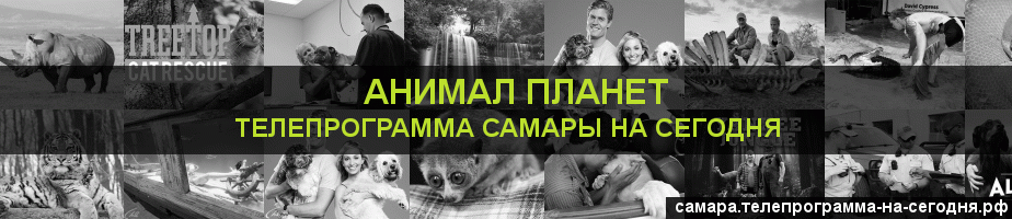 Телепрограмма на сегодня канала Анимал Планет, Самара