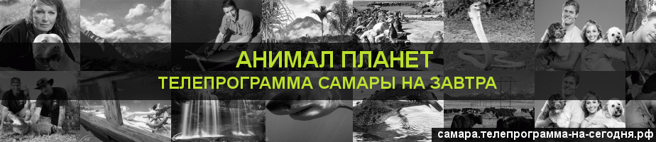 Телепрограмма на завтра канала Анимал Планет, Самара