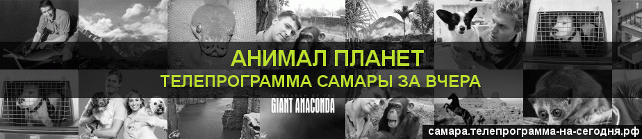 Телепрограмма за вчера канала Анимал Планет, Самара